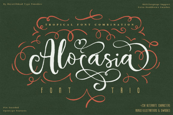 Alocasia Font: A Versatile Typography Choice for Designers