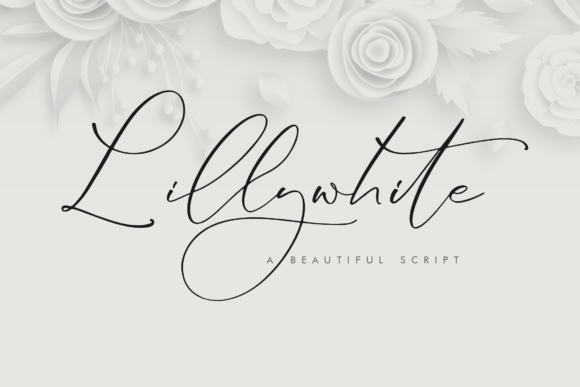 Lillywhite: A Luxurious Script Font for Modern Design and Creativity