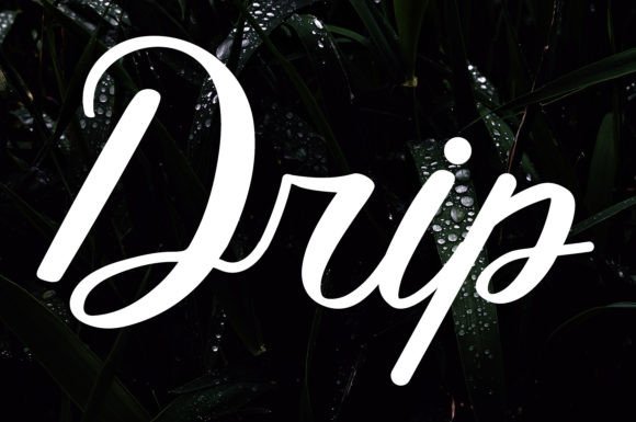 The Rise of Drip: A Script Font That Captures the Essence of Modern Creativity